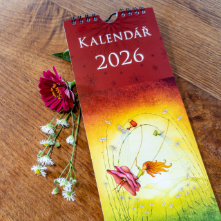 Duhová kočka Kalendář kravata 2026