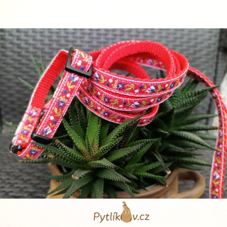 Obojek a vodítko pro psy Morava S - 21cm-29cm/10mm/180cm nylon Smarti fashion