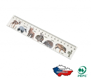 Lesní svět Dřevěné pravítko 20 cm Mláďata