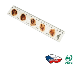 Lesní svět Dřevěné pravítko 20 cm Stopy