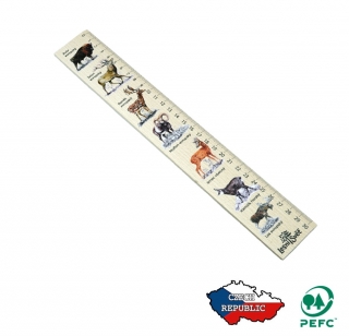 Dřevěné pravítko 30 cm Zubr
