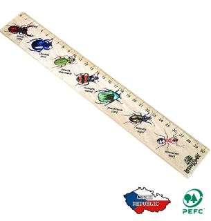 Lesní svět Dřevěné pravítko 30 cm Brouci