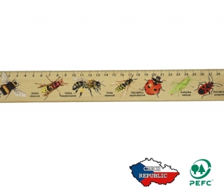 Lesní svět Dřevěné pravítko 30 cm Čmelák