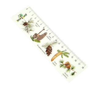 Lesní svět Papírová záložka s měřítkem Jehličnany