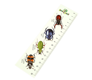 Lesní svět Papírová záložka s měřítkem Brouci