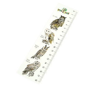 Lesní svět Papírová záložka s měřítkem Výr