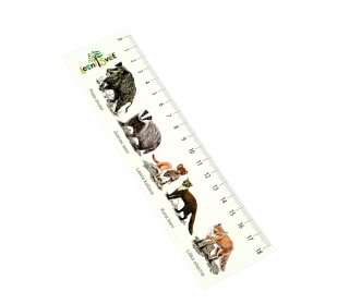 Lesní svět Papírová záložka s měřítkem Prase