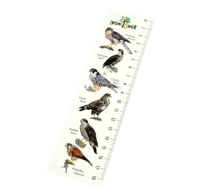 Lesní svět Papírová záložka s měřítkem Krahujec