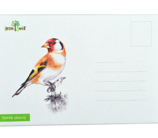 Lesní svět Puzzle do kapsy Stehlík