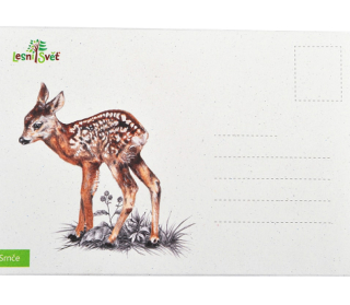 Lesní svět Puzzle do kapsy Srnče