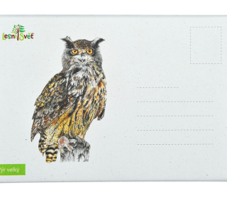 Lesní svět Puzzle do kapsy Výr