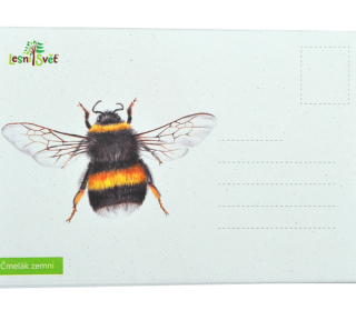 Lesní svět Puzzle do kapsy Čmelák