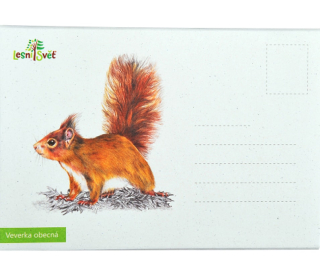 Lesní svět Puzzle do kapsy Veverka