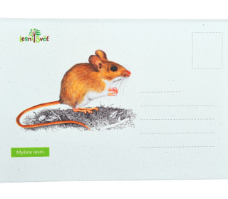 Lesní svět Puzzle do kapsy Myšice