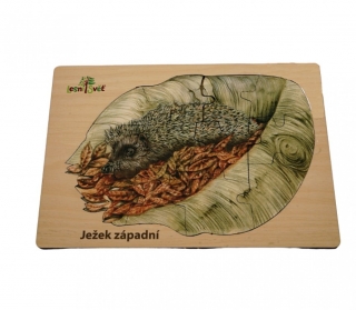 Lesní svět Puzzle z lesa Ježek