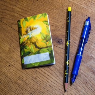 Duhová kočka Minizápisník Víla