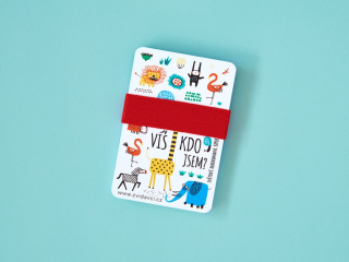 Zvídavci Víš, kdo jsem? Světoví rekordmani expert