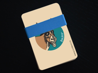 Zvídavci Hádací hra Žulíci