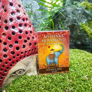 Duhová kočka Inspirační karty Myšlenky moudrosti